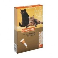 Flea Control - CAT My Vet - New Zealand's Largest Pet Pharmacy: Advocate kittens/small cats