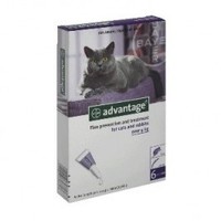 Advantage cats >4kg 6 pack