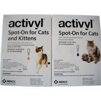 Flea Control - CAT My Vet - New Zealand's Largest Pet Pharmacy: Activyl cat large >4kg 4-pack