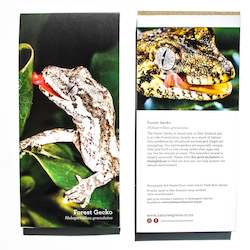 Forest Gecko Notepad