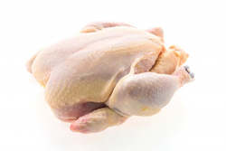 Frozen Small Whole Chicken Size 10