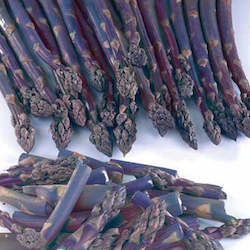 Seed wholesaling: Pacific Purple