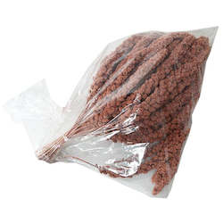 Seed wholesaling: Millet Sprays - Red