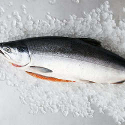 Fresh Seafood: Fresh King Salmon