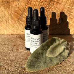 Well Being: Mullein Respiratory Extract