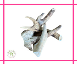 Store-based retail: Natura Dear Antler *Assorted Sizes
