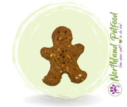 Christmas Treat Gingerbread Man Cookie
