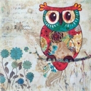 Products: Wise old owl
