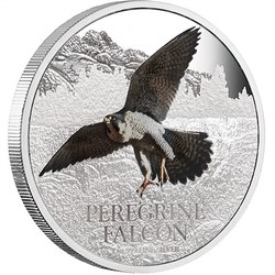 Birds of prey silver coin - peregrine falcon