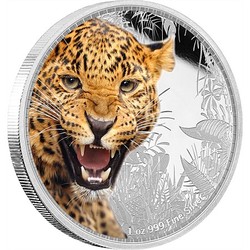 Kings of the continents - jaguar silver coin