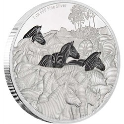 Great migrations - zebra 1 oz silver coin