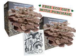 Mushroom growing: Italian Oyster Mushroom Grow Kit - 2 Pack (WITH FREE GIFT)