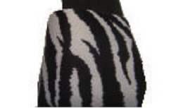 Clog - Zebra