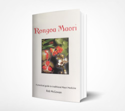 RongoÄ MÄori: A Practical Guide to Traditional MÄori Medicine - Pa Ropata / Rob McGowan