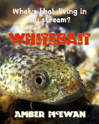 Book and other publishing (excluding printing): What's that living in my Stream? Whitebait by Amber McEwan