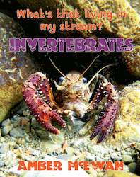 Book and other publishing (excluding printing): What's that living in my Stream?  Invertebrates by Amber McEwan