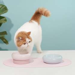 Pet: MAKESURE Yummy Cat Bowl With2-IN-1 Stand
