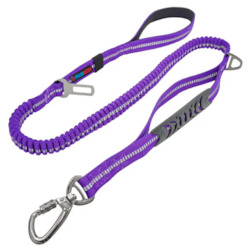 Bungee Dog Leash, 4-6FT No Pull Dog Leash with Car Seatbelt