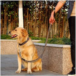 Pet: Leather Dog Collar And Leash Set
