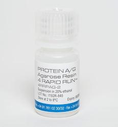 Protein A/G Agarose Resin 4 Rapid Run
