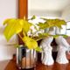 Philodendron Selloum Gold & Bling Pot Combo (includes shipping)