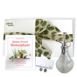 Plant, garden: The "Crazy Plant Lady" Indoor Plant Inspired Gift Set (Includes shipping)