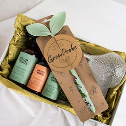 The "Indoor Gardeners" Gift Set (Includes Shipping)
