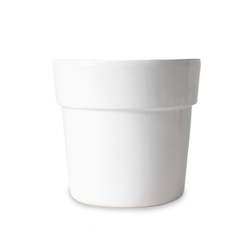 Plant, garden: 14cm Glossy White Cover Pot (includes Shipping)