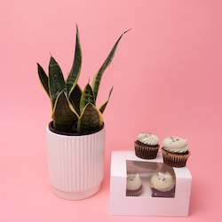Growing Gifts: Plant + Sweet
