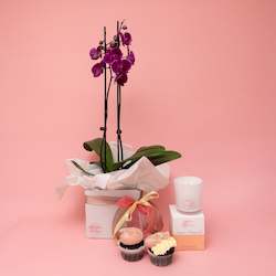 Growing Gifts: Spoil Her - Phalaenopsis Orchid Gift Set