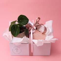 Growing Gifts: Forna and Treats