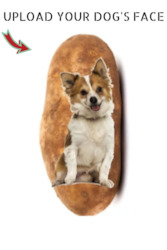 Home Page: Potato Puppy