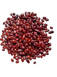 Specialised food: Premium Organics Red Kidney Beans (long) 100% Certified Organic