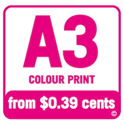 A3 Colour: A3 Colour Print