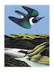 Swoop of the Kotare print by Don Binney