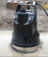 Products: AL45 Puddle Sucker Submersible Pump