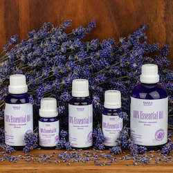 Lavender oil extraction: Award Winning (Grosso) Lavandula x intermedia essential oil 10-100ml