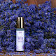Lavender Oil Lavandula Angustifolia 10ml Roll On (Violet Intrigue)