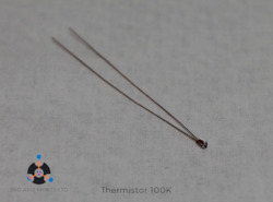 Internet only: Thermisistor - 100K