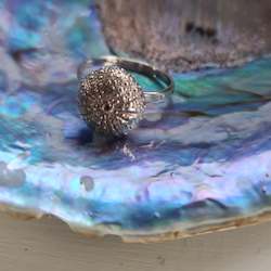 Large Kina Ring - Sterling Silver