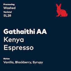 Coffee: Gathaithi AA, Kenya