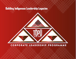 Business consultant service: TÅPÅª - Lead your team