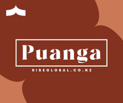 Business consultant service: Puanga - retreat, reflect, and rise!