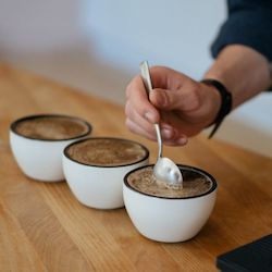Coffee: RHINO Cupping Set