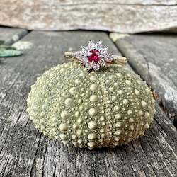 Jewellery: Ruby and diamond ring