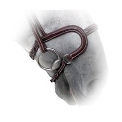 Internet only: Silver Crown H Noseband