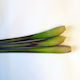Lemongrass - 3 stems