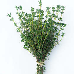 Thyme - bunch