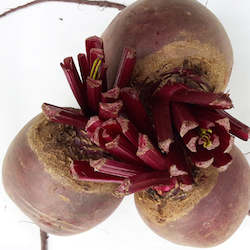 Vegetable growing: Beetroot, loose - 1kg