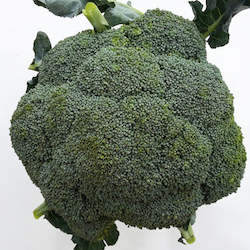 Broccoli - 1 head